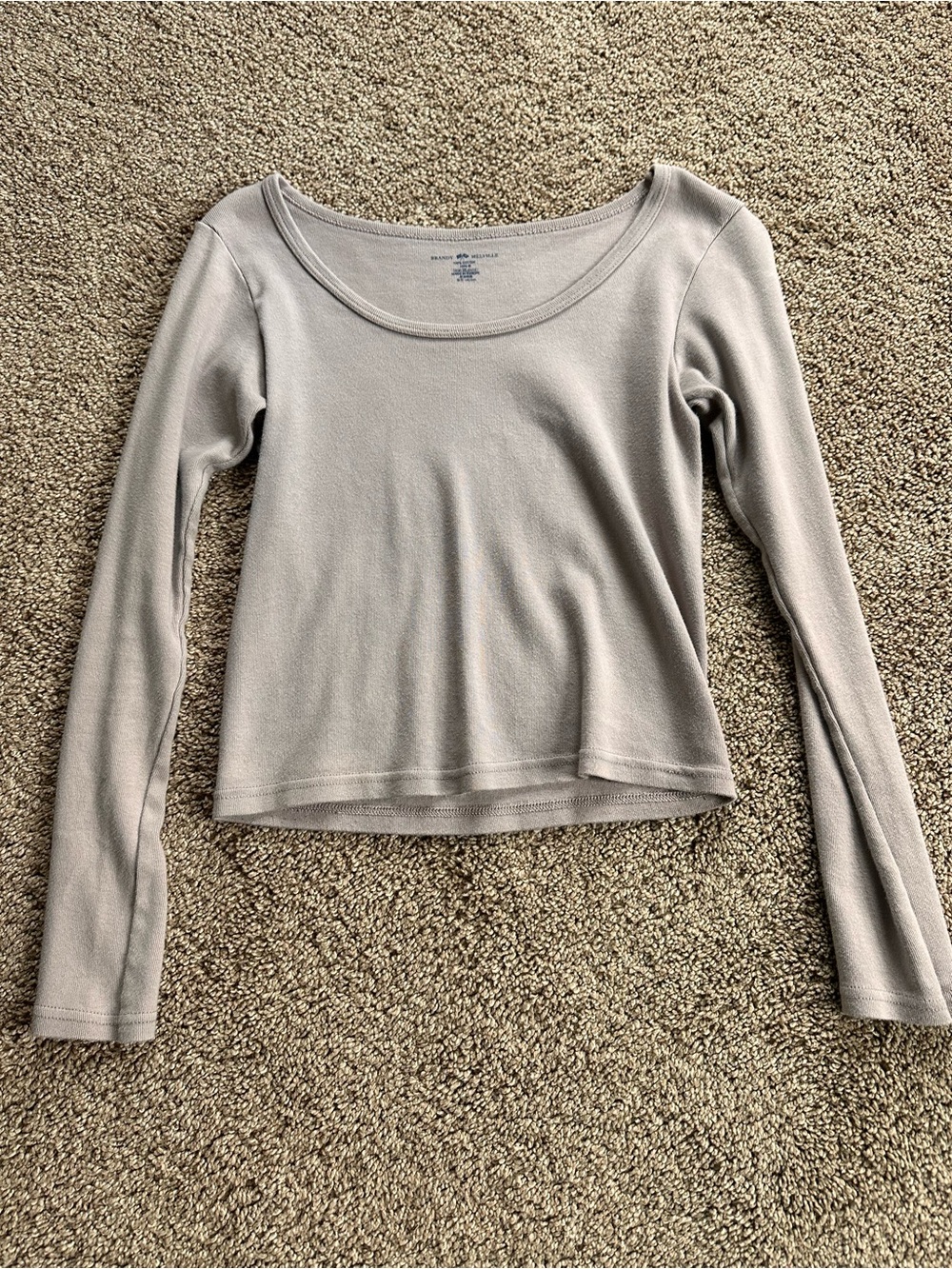 Brandy Melville Light purple Long Sleeve Scoop Crop Top
